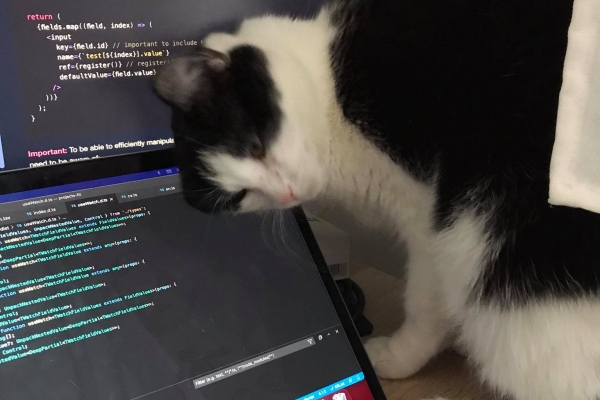 Test Test