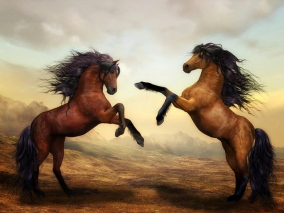 Kůň je nerozlučným průvodcem bojovníka